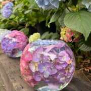 ヒメ日記 2025/06/01 12:31 投稿 三谷 せりな 神戸RED DRAGON