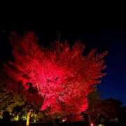 ヒメ日記 2025/11/01 12:45 投稿 三谷 せりな 神戸RED DRAGON