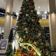 ヒメ日記 2025/12/02 13:01 投稿 三谷 せりな 神戸RED DRAGON