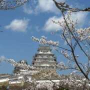 ヒメ日記 2026/04/01 14:07 投稿 三谷 せりな 神戸RED DRAGON