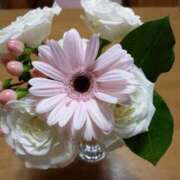 ヒメ日記 2026/03/14 11:25 投稿 ゆうこ 妻天 日本橋店