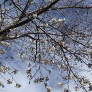 ヒメ日記 2026/03/26 14:29 投稿 ゆうこ 妻天 日本橋店