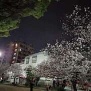 ヒメ日記 2026/04/06 23:03 投稿 ゆうこ 妻天 日本橋店