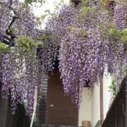 ヒメ日記 2026/04/30 14:31 投稿 ゆうこ 妻天 日本橋店