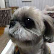 ヒメ日記 2025/02/04 11:03 投稿 あられ 妻天 日本橋店