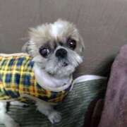 ヒメ日記 2025/02/10 10:49 投稿 あられ 妻天 日本橋店