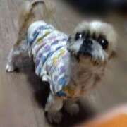 ヒメ日記 2025/03/25 10:42 投稿 あられ 妻天 日本橋店