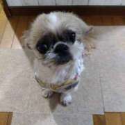 ヒメ日記 2025/04/18 22:47 投稿 あられ 妻天 日本橋店