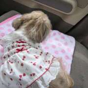 ヒメ日記 2025/05/09 09:34 投稿 あられ 妻天 日本橋店