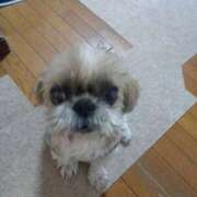 ヒメ日記 2025/05/16 10:27 投稿 あられ 妻天 日本橋店