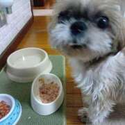 ヒメ日記 2025/08/21 10:15 投稿 あられ 妻天 日本橋店