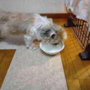 ヒメ日記 2025/09/11 20:41 投稿 あられ 妻天 日本橋店