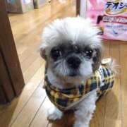 ヒメ日記 2025/10/19 17:48 投稿 あられ 妻天 日本橋店