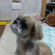 ヒメ日記 2025/10/23 10:27 投稿 あられ 妻天 日本橋店