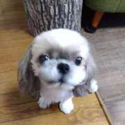 ヒメ日記 2025/11/17 10:37 投稿 あられ 妻天 日本橋店