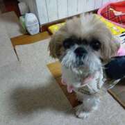 ヒメ日記 2025/11/29 09:36 投稿 あられ 妻天 日本橋店