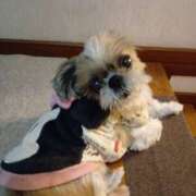 ヒメ日記 2025/11/30 05:42 投稿 あられ 妻天 日本橋店