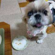 ヒメ日記 2025/12/02 09:24 投稿 あられ 妻天 日本橋店