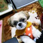 ヒメ日記 2025/12/02 17:44 投稿 あられ 妻天 日本橋店