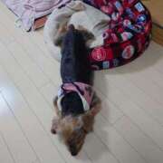 ヒメ日記 2026/02/24 07:09 投稿 あられ 妻天 日本橋店