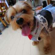 ヒメ日記 2026/02/24 16:08 投稿 あられ 妻天 日本橋店