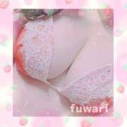 ヒメ日記 2024/12/30 17:16 投稿 ふわり 立川ちゃんこ