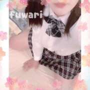 ヒメ日記 2025/01/19 23:31 投稿 ふわり 立川ちゃんこ