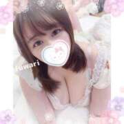 ヒメ日記 2025/04/11 03:00 投稿 ふわり 立川ちゃんこ