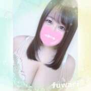 ヒメ日記 2025/04/20 09:16 投稿 ふわり 立川ちゃんこ