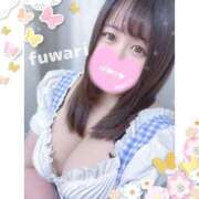 ヒメ日記 2025/05/03 07:02 投稿 ふわり 立川ちゃんこ