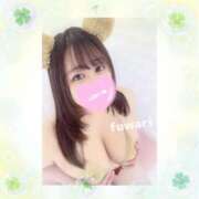 ヒメ日記 2025/06/20 06:00 投稿 ふわり 立川ちゃんこ