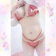 ヒメ日記 2025/07/27 09:02 投稿 ふわり 立川ちゃんこ