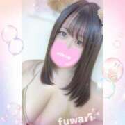 ヒメ日記 2025/10/03 11:15 投稿 ふわり 立川ちゃんこ