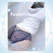 ヒメ日記 2025/11/19 07:15 投稿 ふわり 立川ちゃんこ