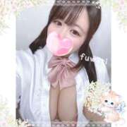 ヒメ日記 2025/11/20 15:45 投稿 ふわり 立川ちゃんこ