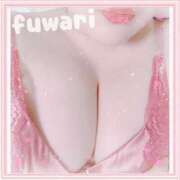 ヒメ日記 2025/11/29 05:30 投稿 ふわり 立川ちゃんこ