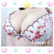 ヒメ日記 2026/01/01 00:06 投稿 ふわり 立川ちゃんこ