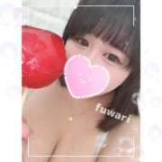 ヒメ日記 2026/02/05 08:40 投稿 ふわり 立川ちゃんこ