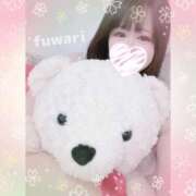 ヒメ日記 2026/02/08 11:45 投稿 ふわり 立川ちゃんこ