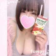 ヒメ日記 2026/04/02 21:20 投稿 ふわり 立川ちゃんこ