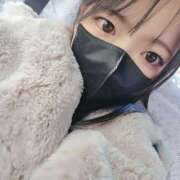 ヒメ日記 2025/02/09 16:22 投稿 ゆき 所沢東村山ちゃんこ