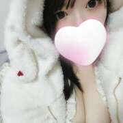 ヒメ日記 2025/02/11 17:24 投稿 ゆき 所沢東村山ちゃんこ