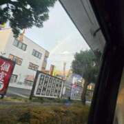 ヒメ日記 2025/12/21 18:41 投稿 ゆき 所沢東村山ちゃんこ