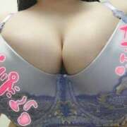 ヒメ日記 2026/03/26 10:28 投稿 ゆき 所沢東村山ちゃんこ