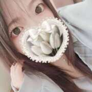 ヒメ日記 2026/04/07 16:41 投稿 ゆき 所沢東村山ちゃんこ