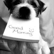 ヒメ日記 2025/03/13 06:45 投稿 如月胡桃(きさらぎくるみ) 九州熟女　八代店