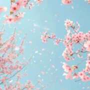 ヒメ日記 2025/03/31 17:45 投稿 如月胡桃(きさらぎくるみ) 九州熟女　八代店