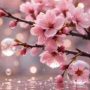 ヒメ日記 2025/04/08 19:55 投稿 如月胡桃(きさらぎくるみ) 九州熟女　八代店