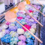 ヒメ日記 2025/06/01 06:15 投稿 如月胡桃(きさらぎくるみ) 九州熟女　八代店