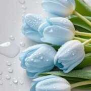 ヒメ日記 2025/06/23 07:45 投稿 如月胡桃(きさらぎくるみ) 九州熟女　八代店